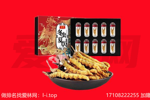 南充回收虫草.jpg